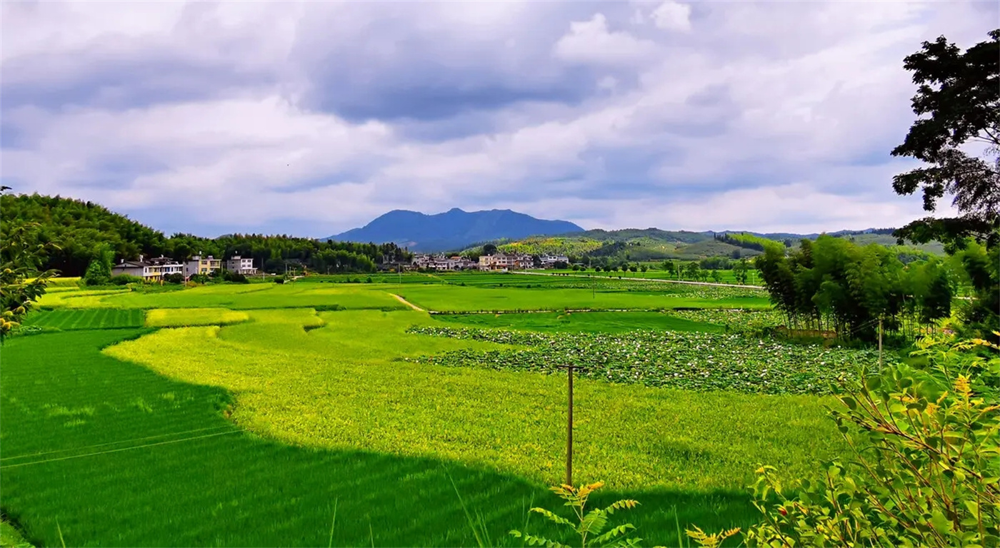 「永和集團」助力平橋土整 添彩美麗鄉(xiāng)村